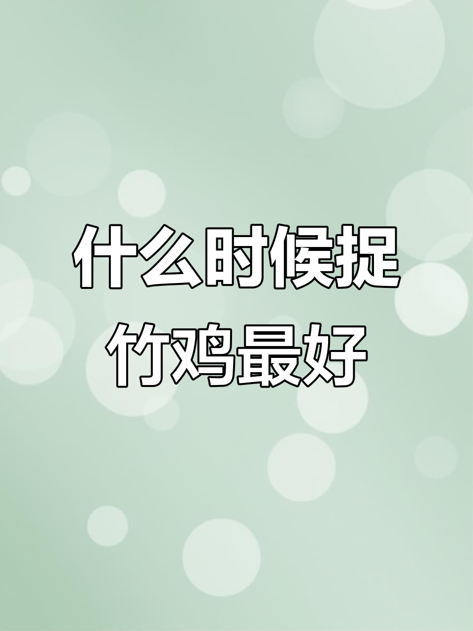 竹鸡最易捕捉的季节是什么时候?