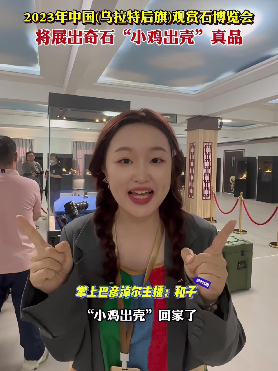 2023年中国(乌拉特后旗)观赏石博览会将展出奇石“小鸡出壳”真品 乌拉特后旗观赏石博览会
