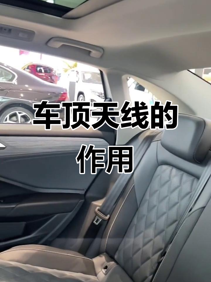 鲨鱼鳍的真正作用,原来不只是好看!