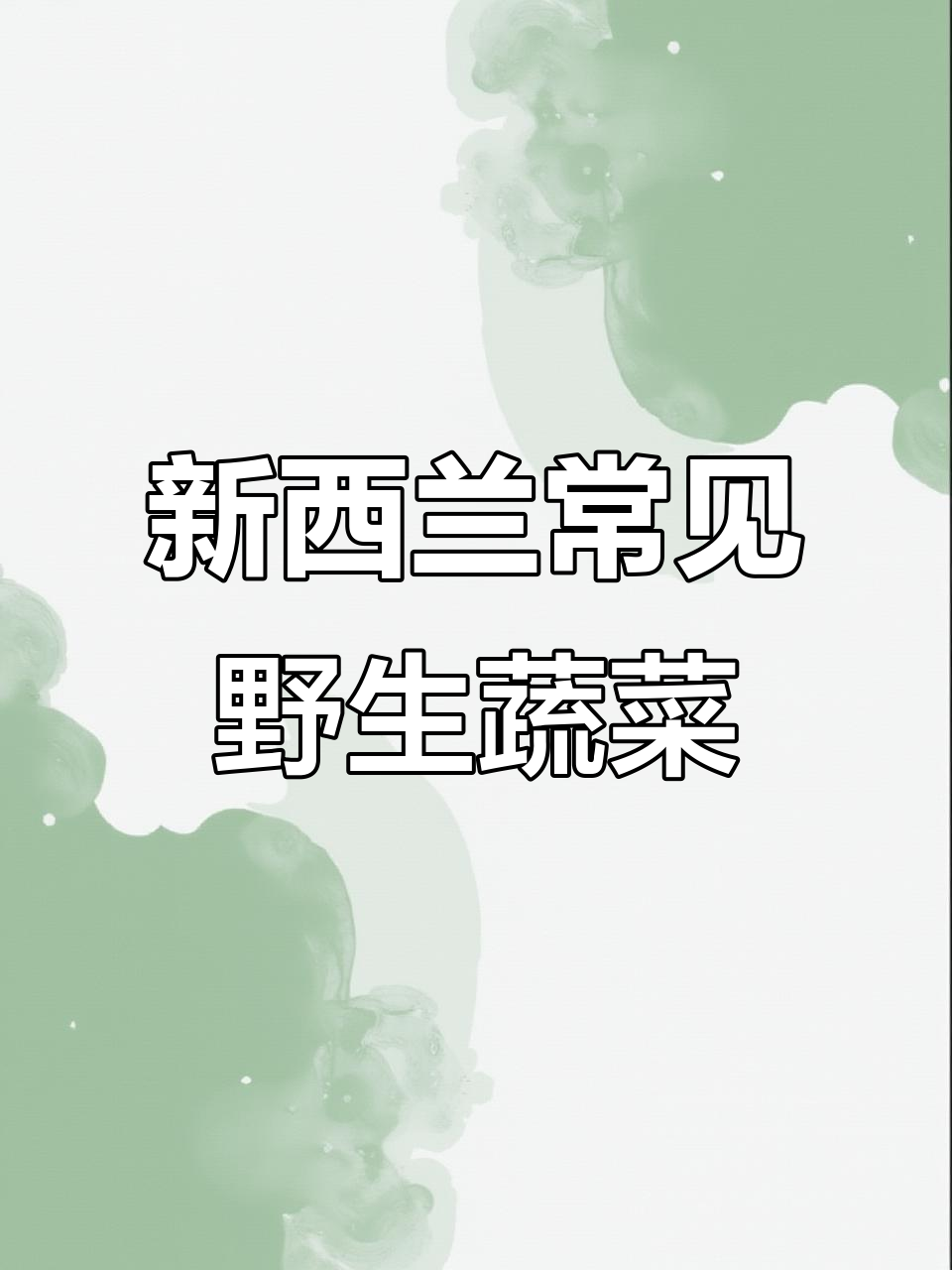 新西兰冬季野菜大揭秘：这些美味你尝过吗？