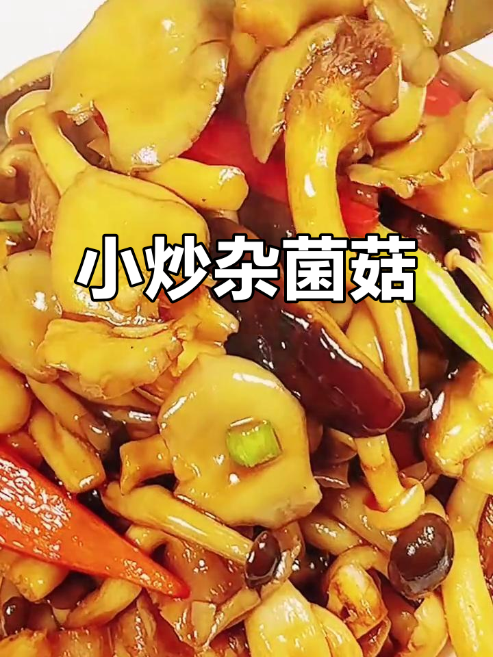 杂菌菇炒出满满一碗饭，简单又美味
