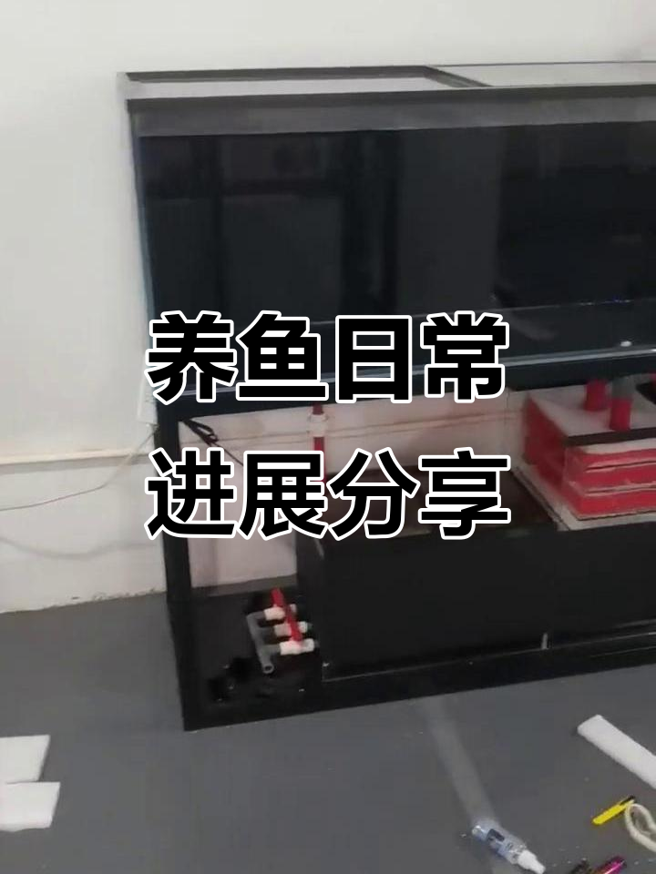 鱼缸改造大作战,进度过半,黑背景两层设计亮相