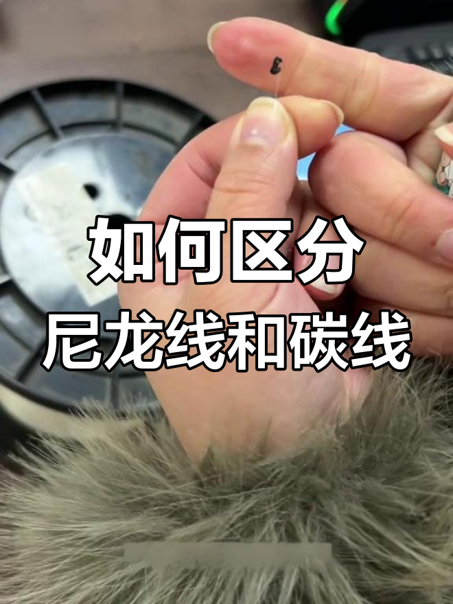 尼龙线与碳线的区别解析