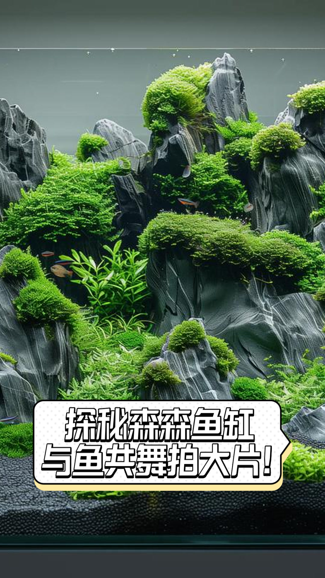 探秘森森鱼缸,与鱼共舞拍大片!