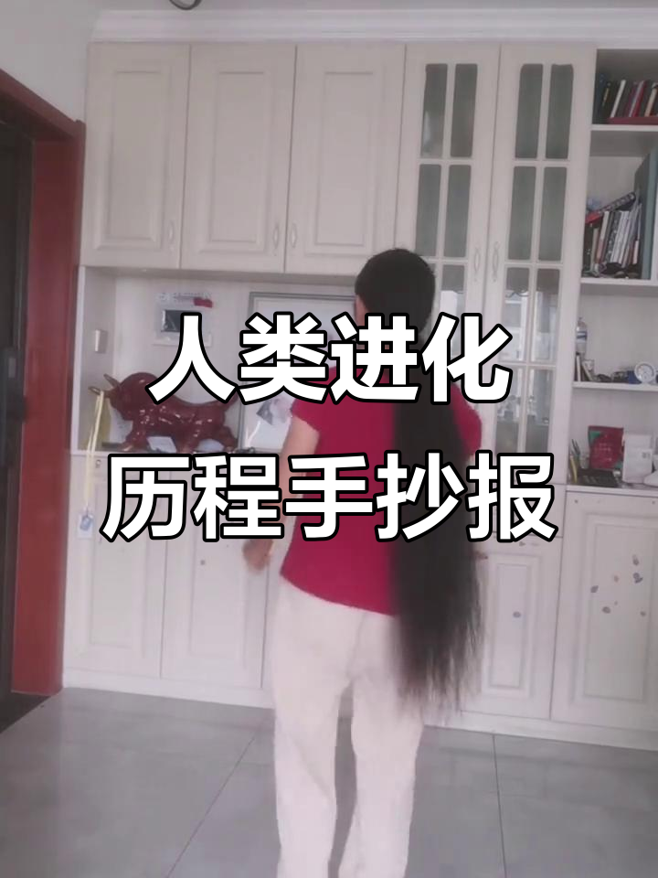 人类起源与演化过程手抄报展示