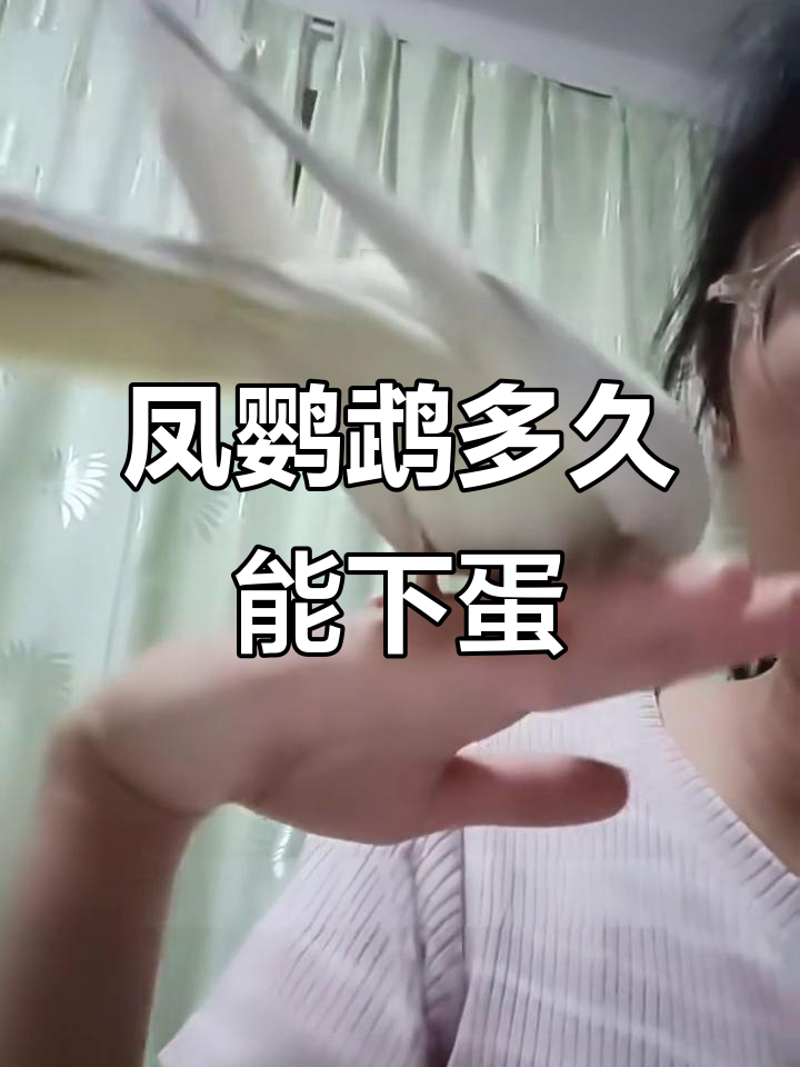 凤鹦鹉下蛋前的征兆与等待时间