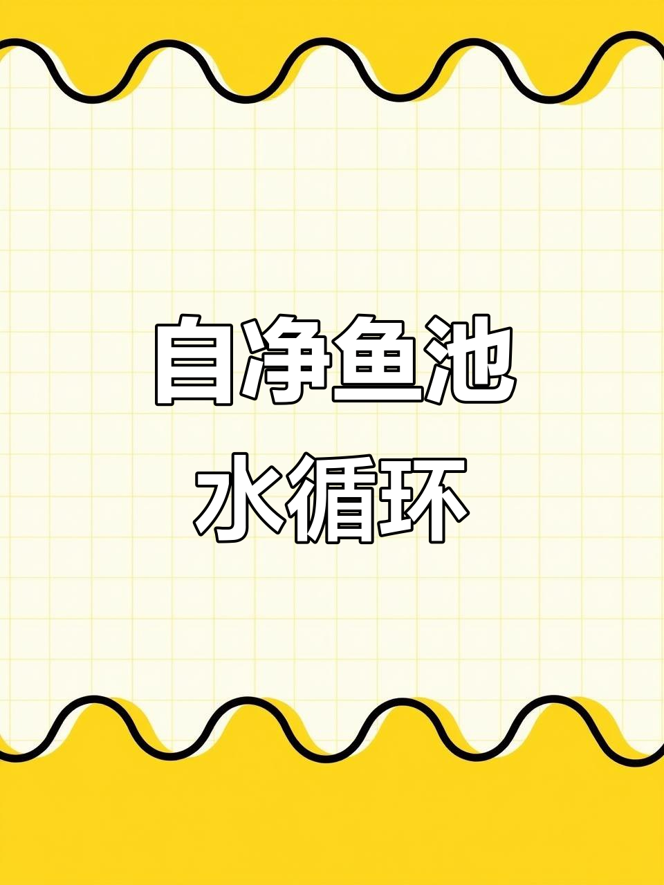 生态鱼池水循环揭秘:如何实现自净与持续清澈?