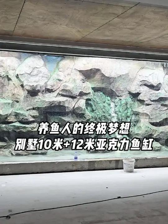养鱼人的终极梦想，别墅10米+12米亚克力鱼缸造景