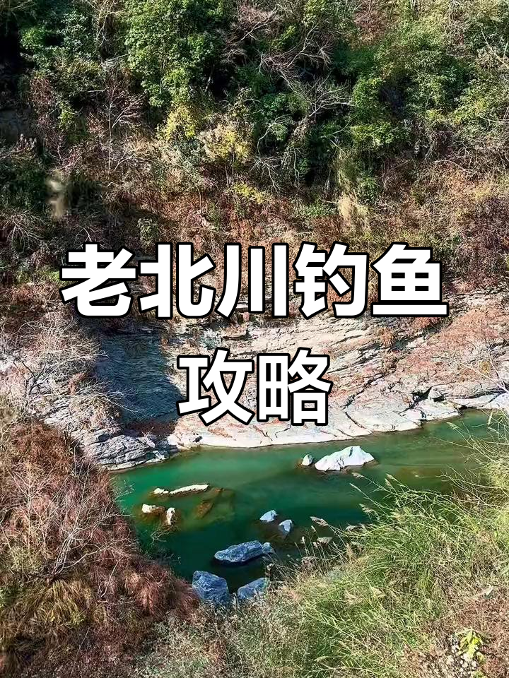探钓老北川裂腹鱼,青苔饵料效果如何