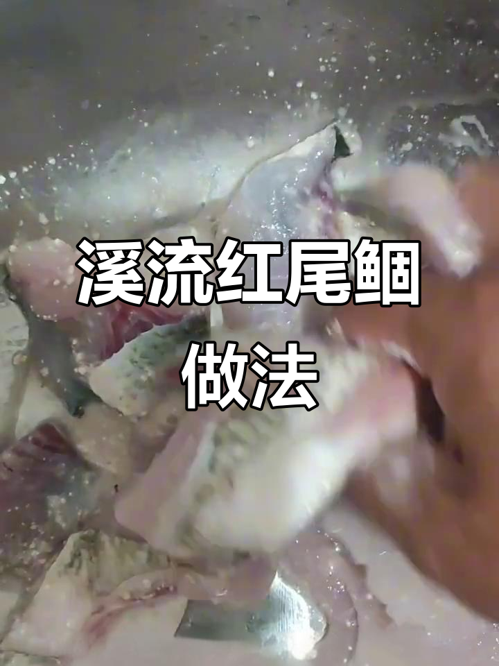 红尾鲴溪流钓天花板，鲜嫩美味一招搞定