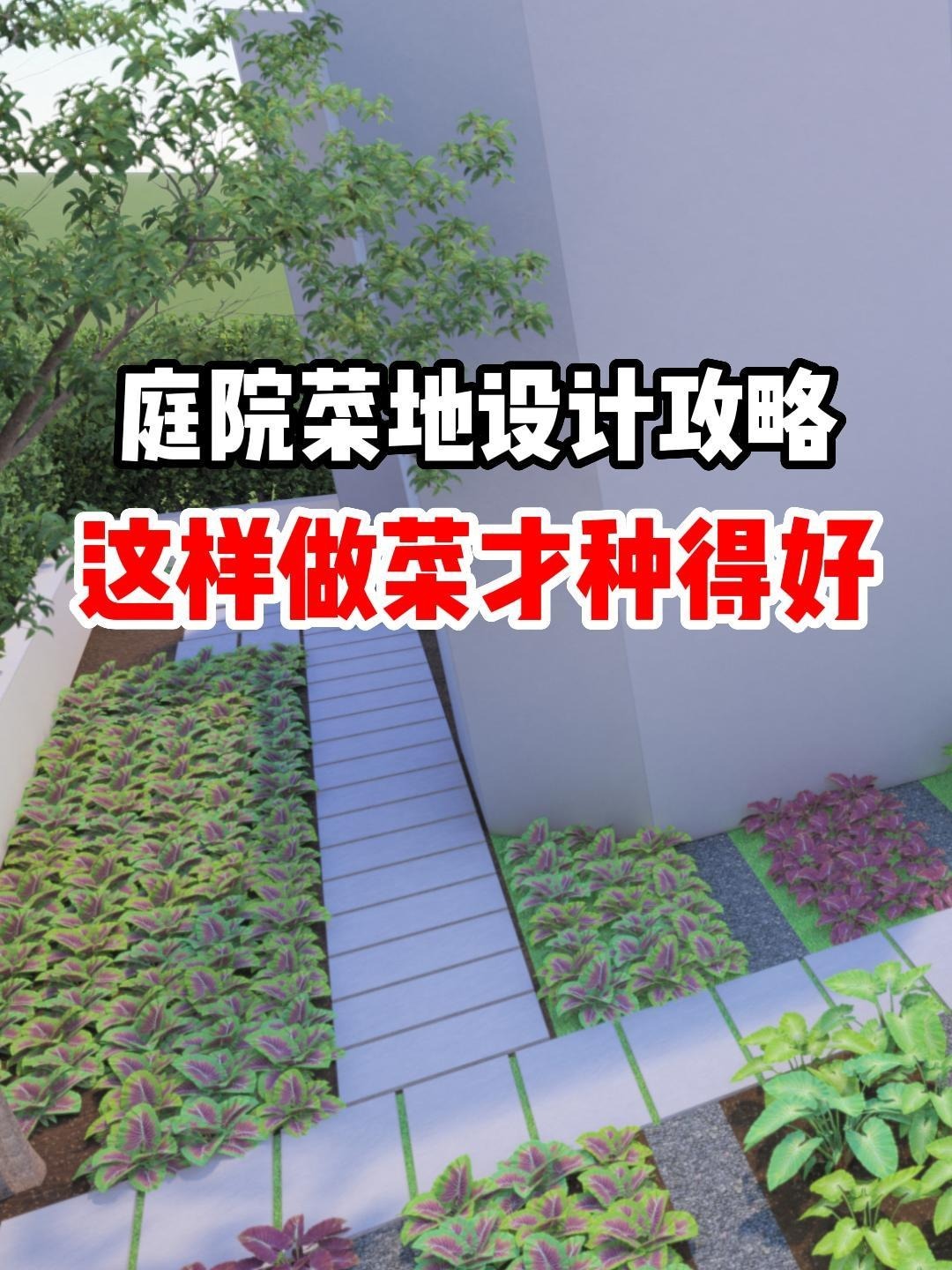 庭院菜地设计攻略 这样做菜才种得好!