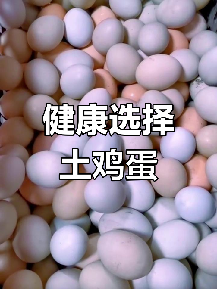 土鸡蛋与普通蛋的营养差异揭秘