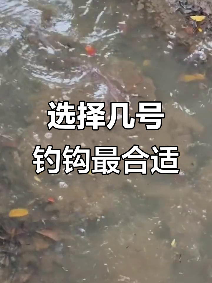 钓鱼钩号选择大揭秘,哪种最适合你?