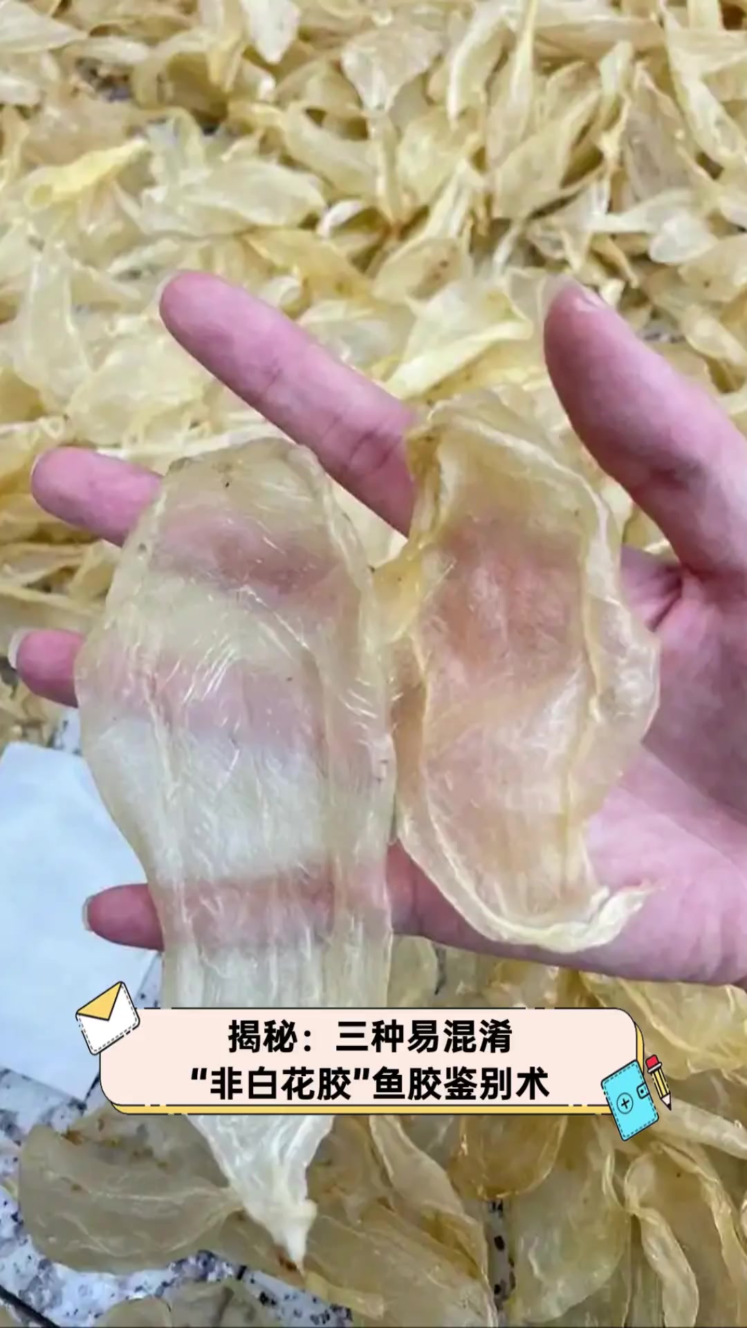 揭秘:三种易混淆“非白花胶”鱼胶鉴别术