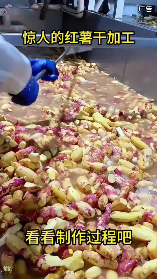 倒蒸红薯干 倒蒸红薯干