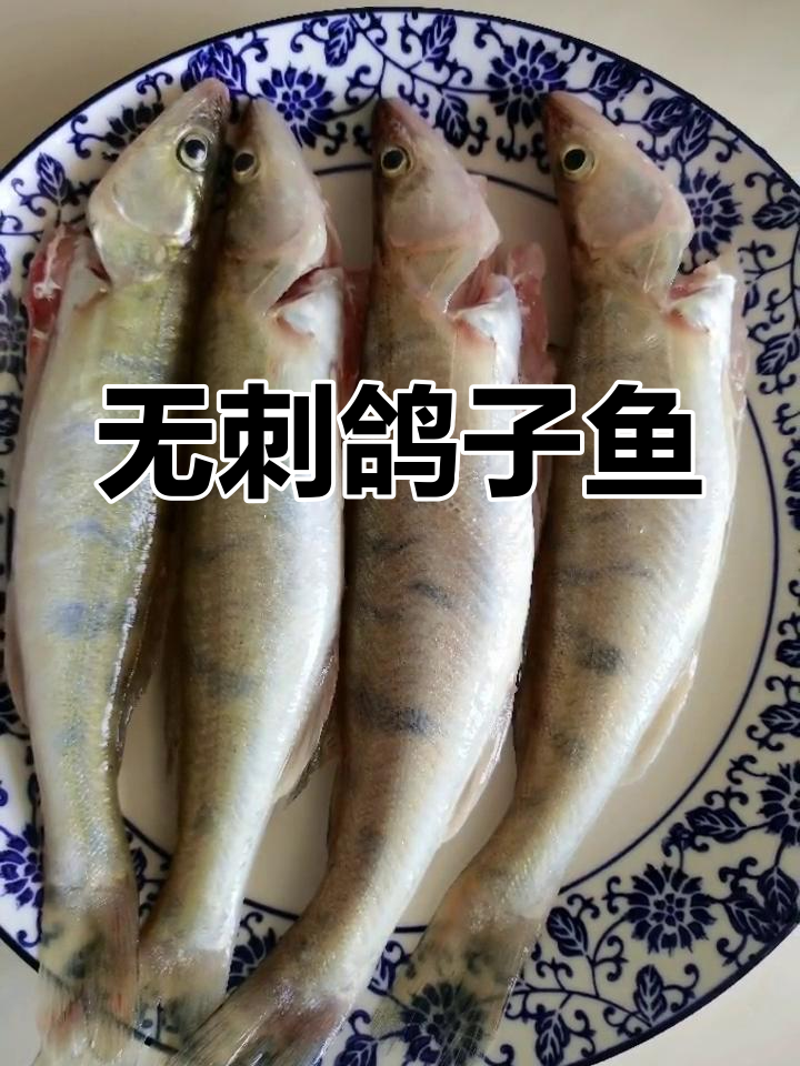 黄河边的美味鸽子鱼