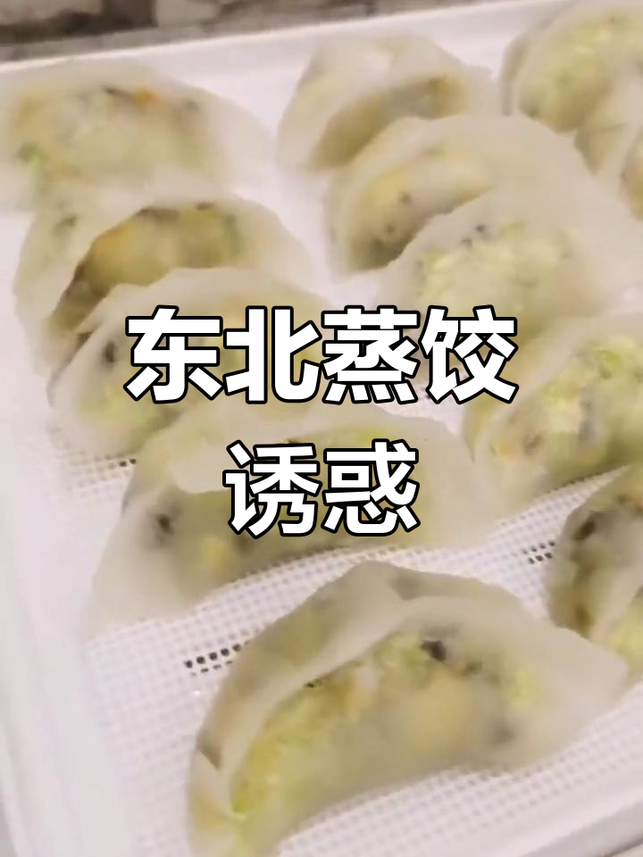 东北粉面饺子,包得不好?来我家尝尝吧!