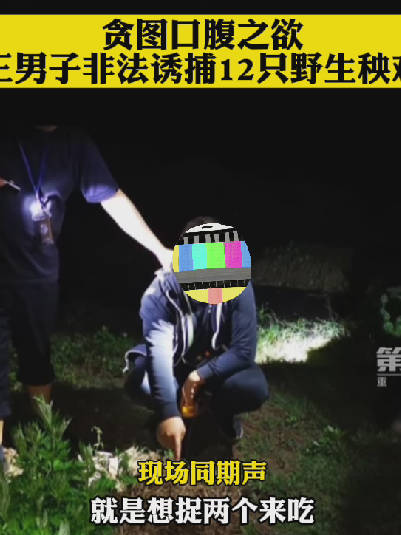 「“想捉2个来吃”!三男子非法诱捕野生秧鸡被拘」近日,重庆开州。民警接到举报称有人非法狩猎