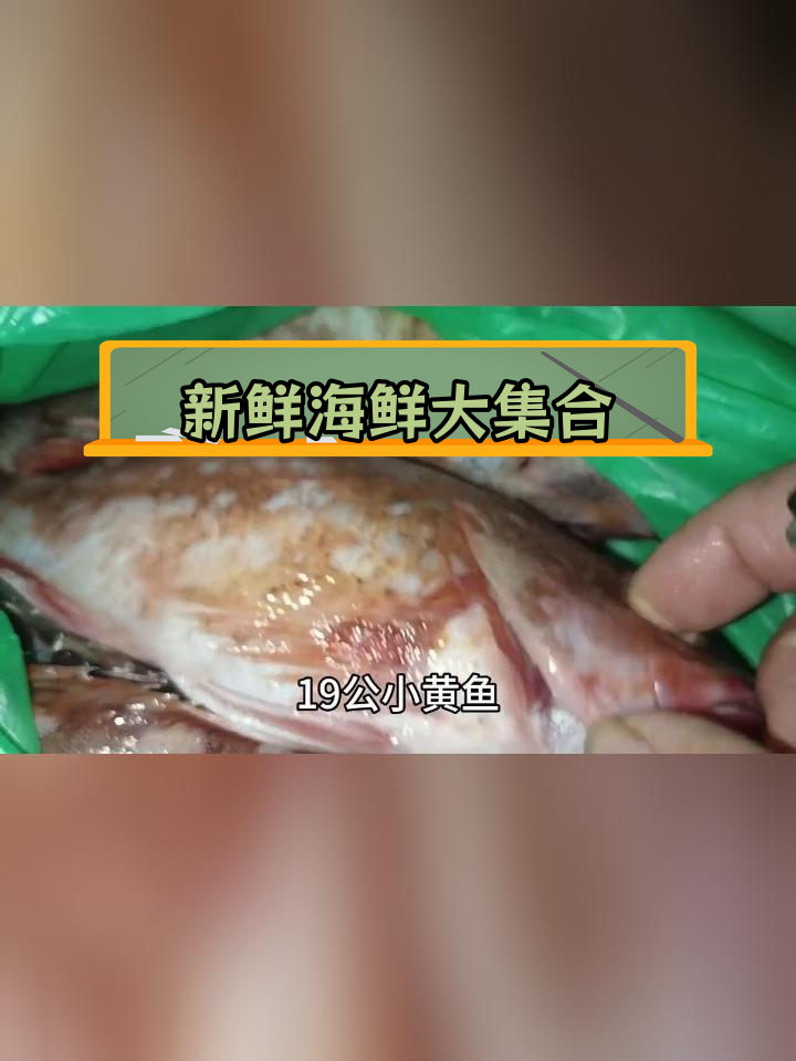 温岭松门海鲜市场,新鲜海鱼种类丰富