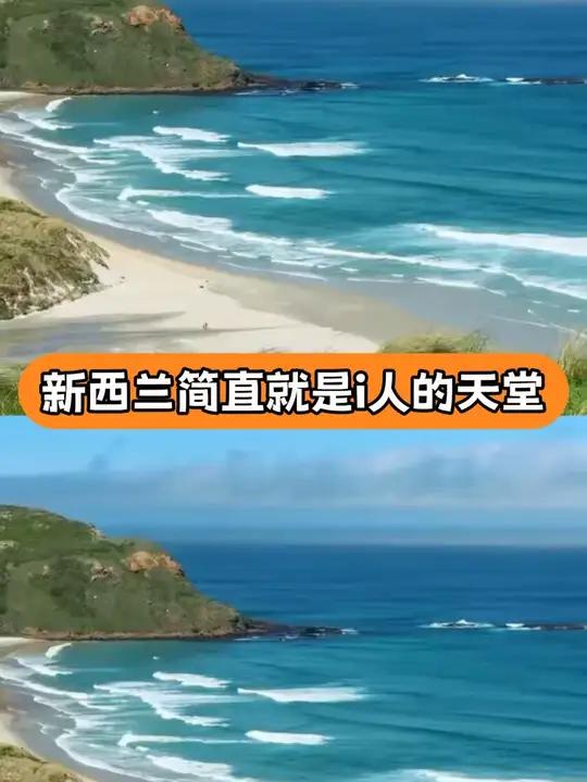 新西兰简直是i人天堂