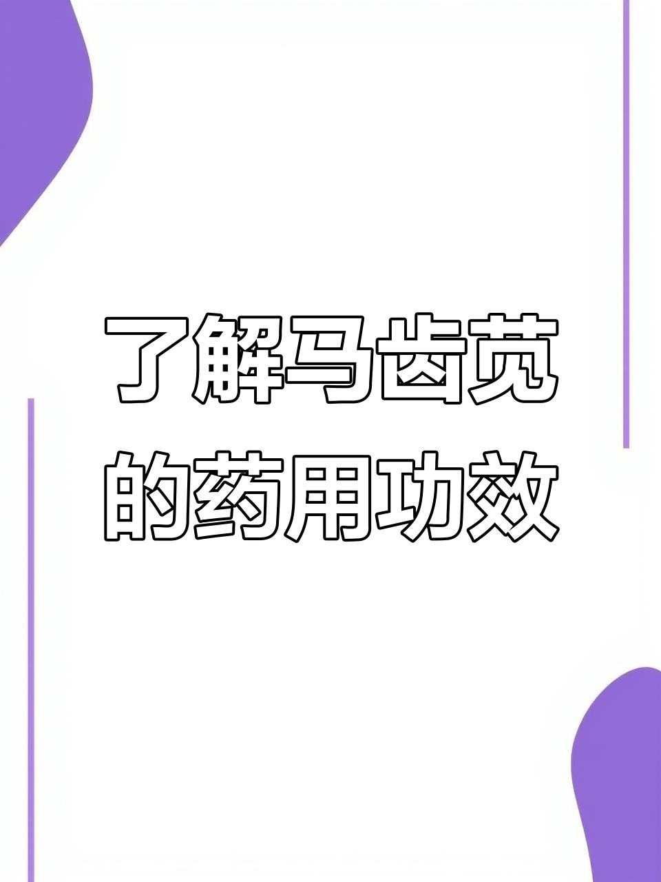 马齿苋:清热解毒,凉血止痢的草本良药