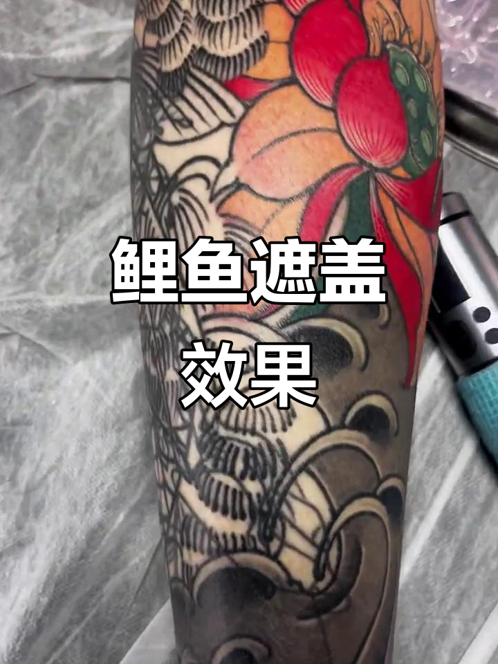 鲤鱼纹身恢复一年,荷花彩绘惊艳呈现