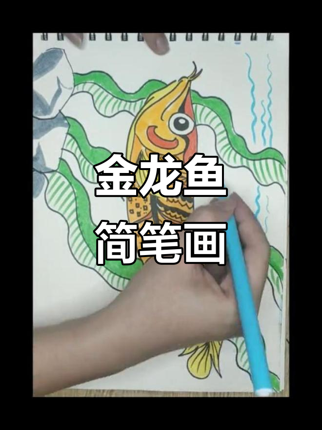 轻松学画金龙鱼,线描技巧大揭秘