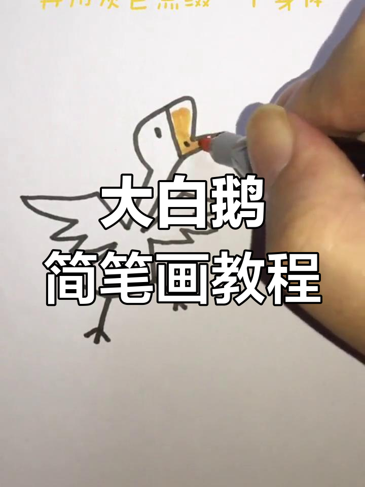 简单几步画出可爱大白鹅