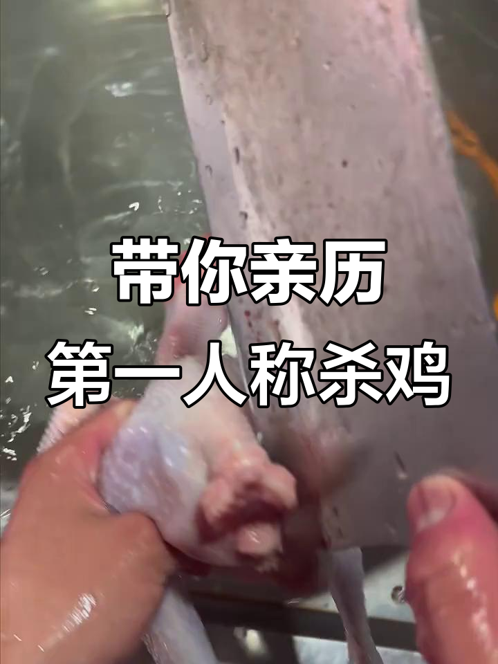 第一人称杀鸡体验,感受真实生活瞬间