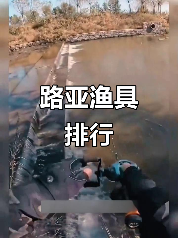 揭晓最佳鱼竿与路亚品牌,十大排名一网打尽!