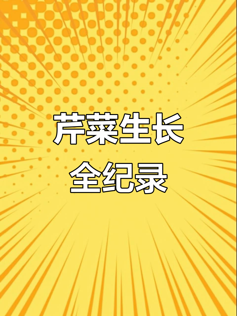 芹菜从种到收，约60天完成整个生长周期