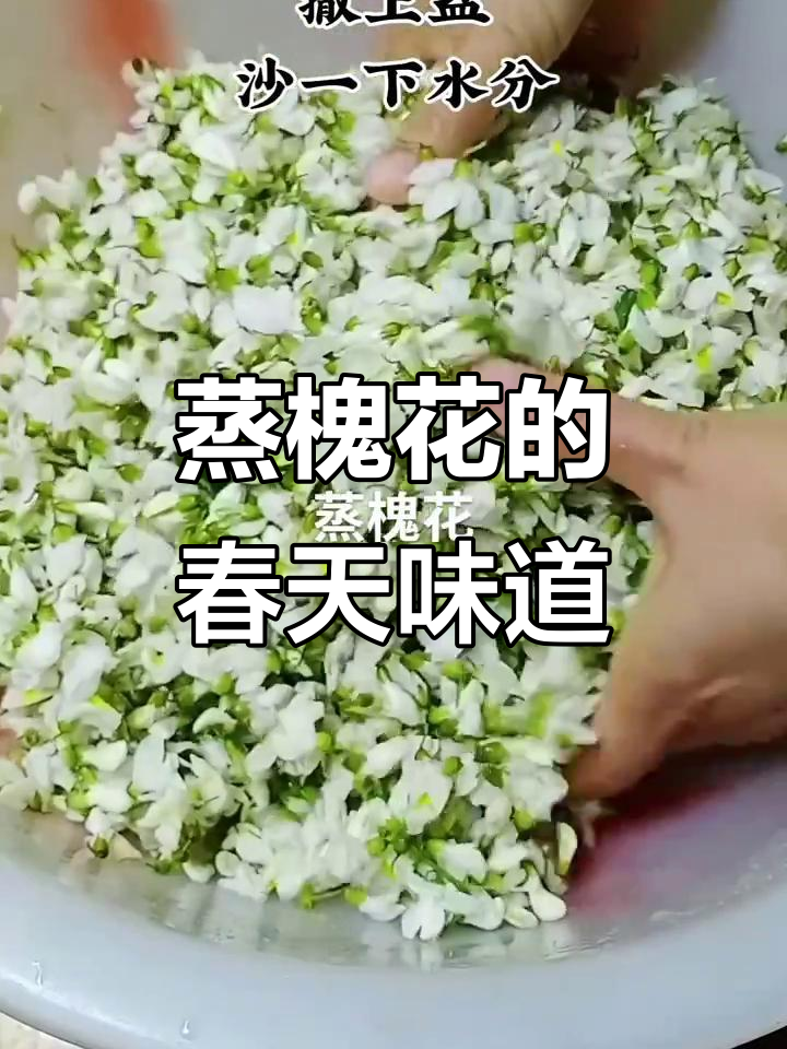 春季蒸槐花,留住青春的味道