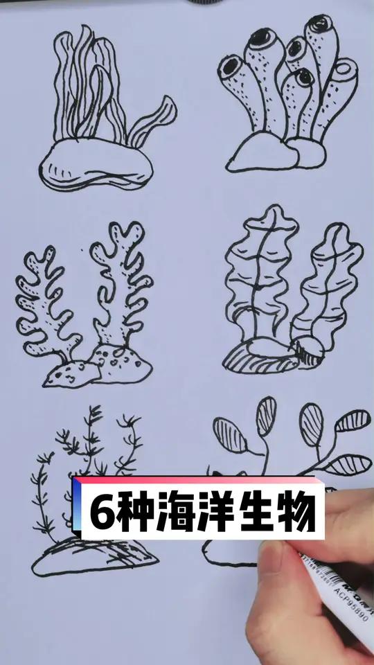 6种海洋生物 简笔画 儿童简笔画 一起拼出丰收中国 一起学画画 手绘 想画就画 灵魂画手 