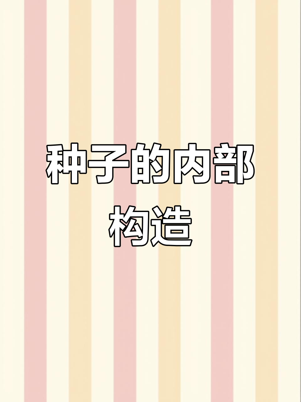 种子结构揭秘：从菜豆到幼苗的成长过程