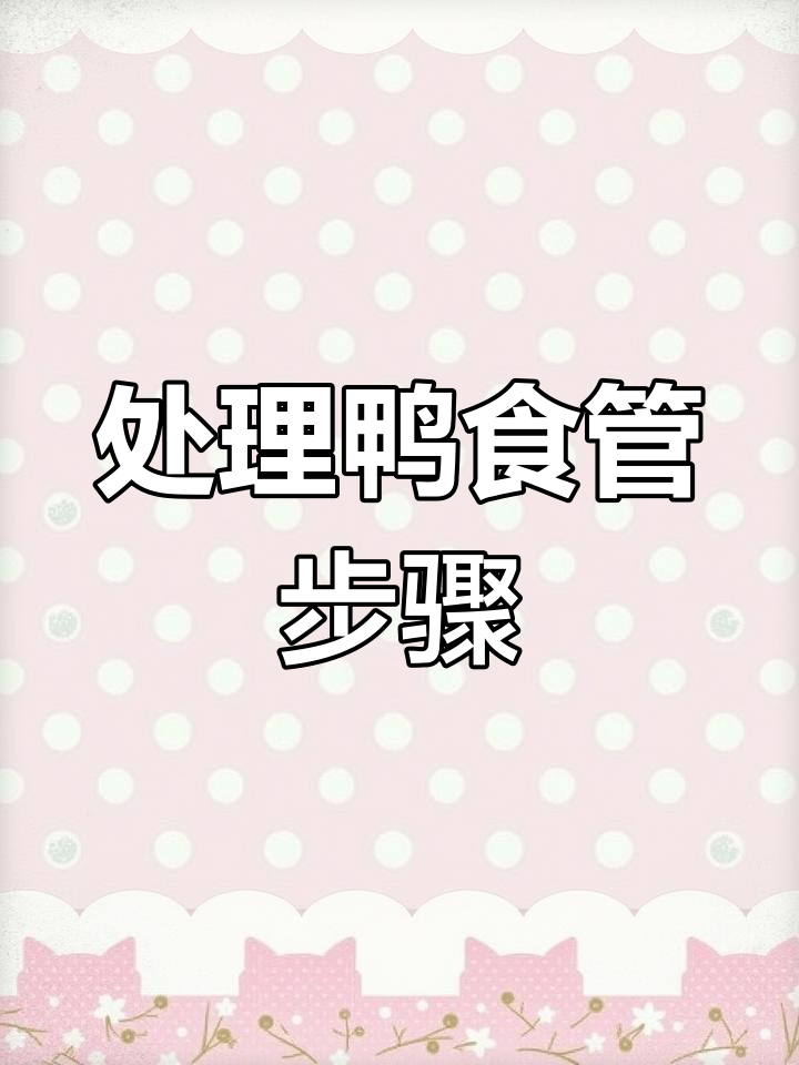 鸭食管处理全流程解析