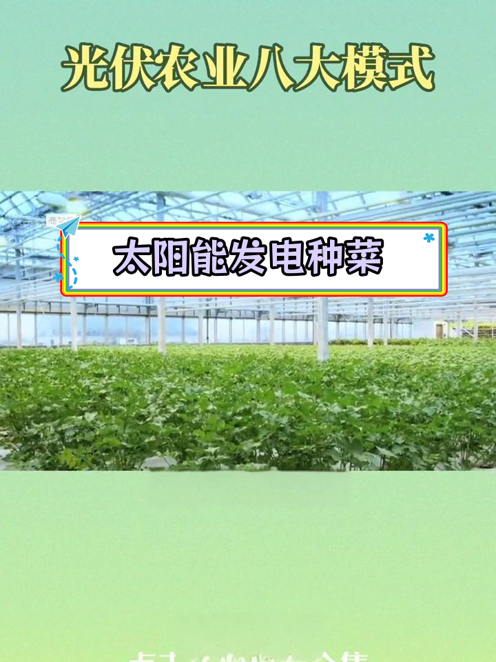 光伏蔬菜大棚:低碳农业新模式