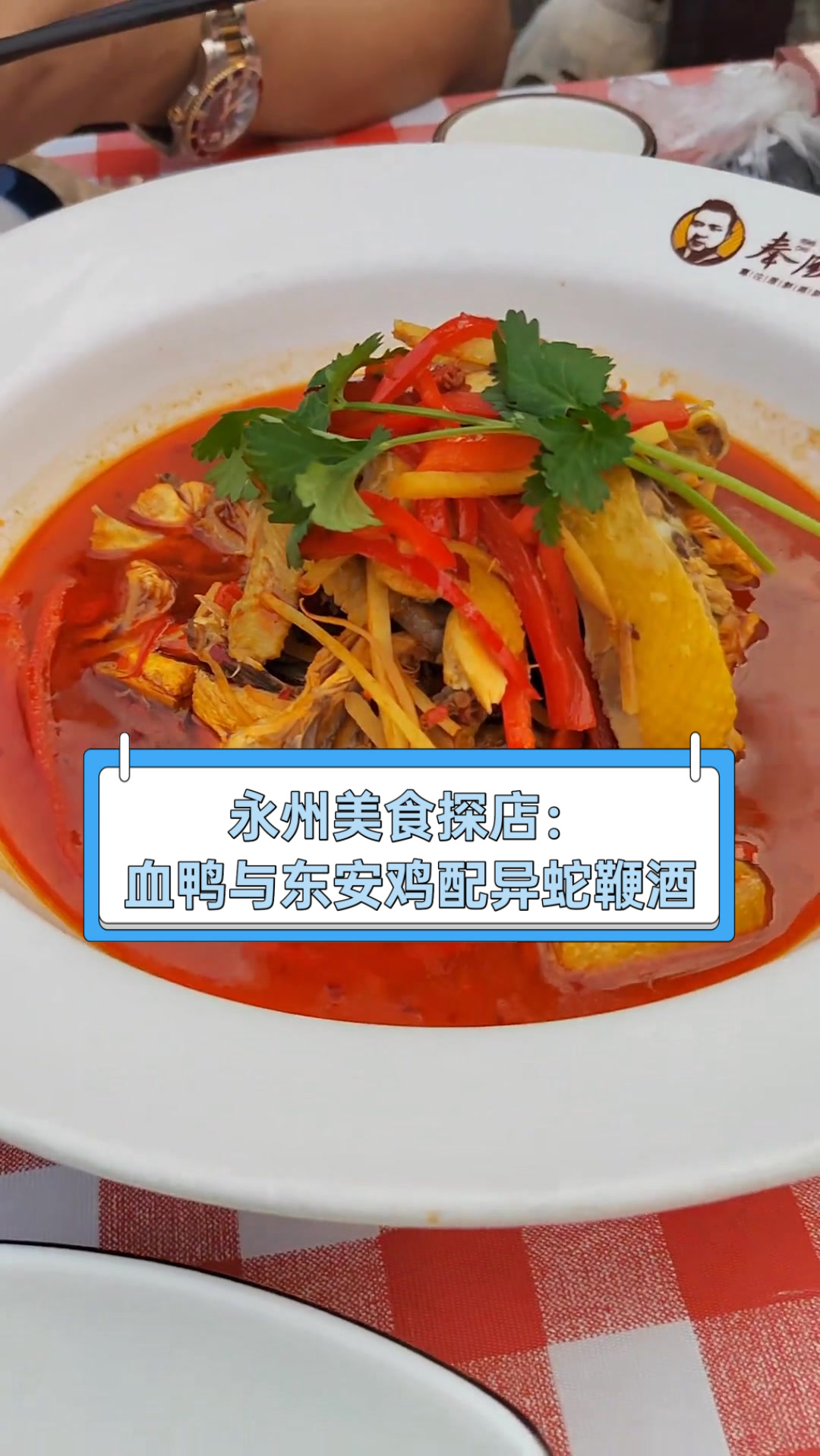 永州美食探店:血鸭与东安鸡配异蛇鞭酒