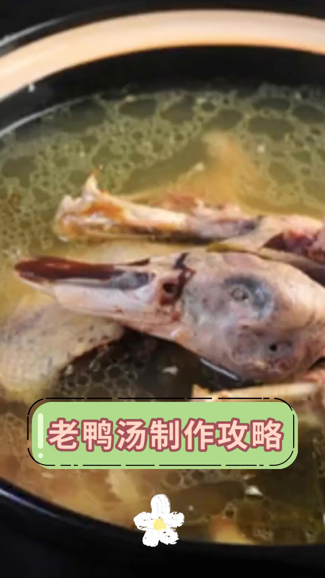 老鸭汤制作攻略