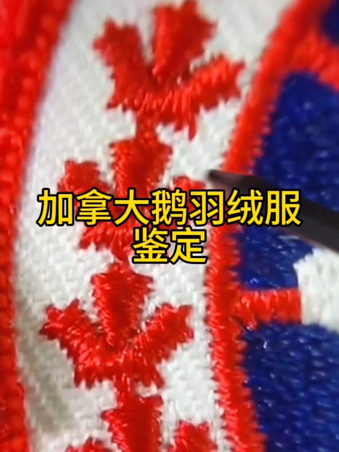 通过袖标鉴定加拿大鹅羽绒服真假鉴别真伪