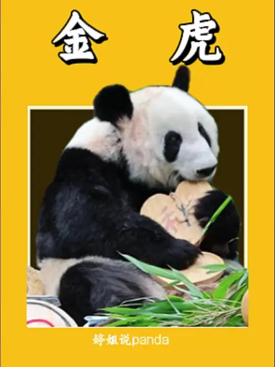 8月3日长公主迎来25岁生日，北动奶爸奶妈亲手制作生日蛋糕，丫丫开心得像个孩子一样！