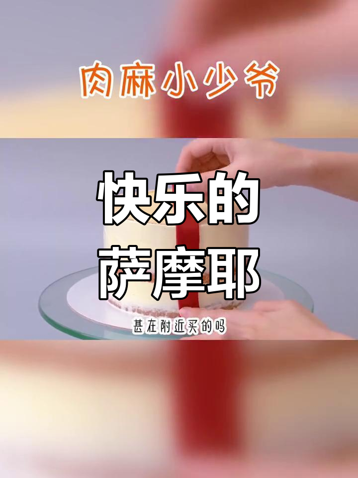 少爷如萨摩耶,快乐又可爱
