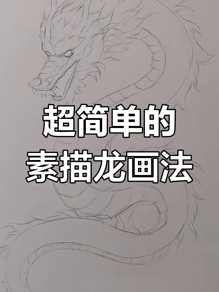 轻松学会素描龙,简单步骤搞定!