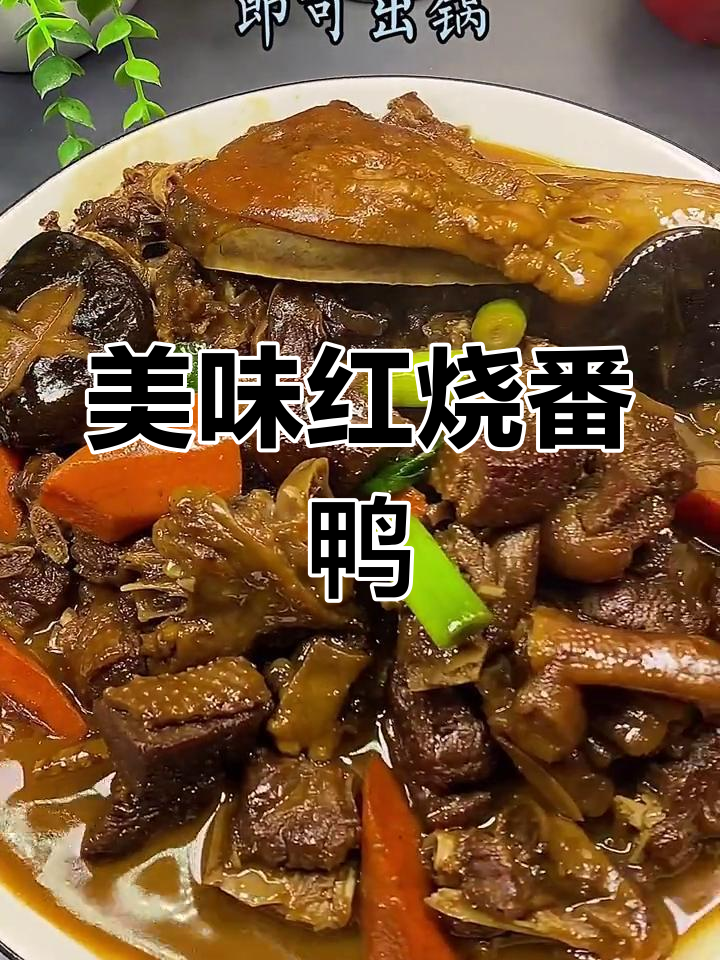 红烧番鸭,三老丈人吃不停口,味道超赞!