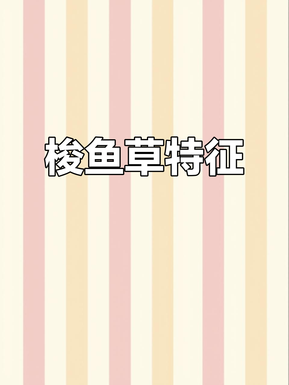 梭鱼草，挺水草本植物，多年生湿生