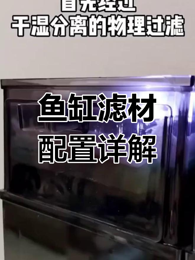 鱼缸过滤系统全解析:干湿分离滴流盒的优缺点
