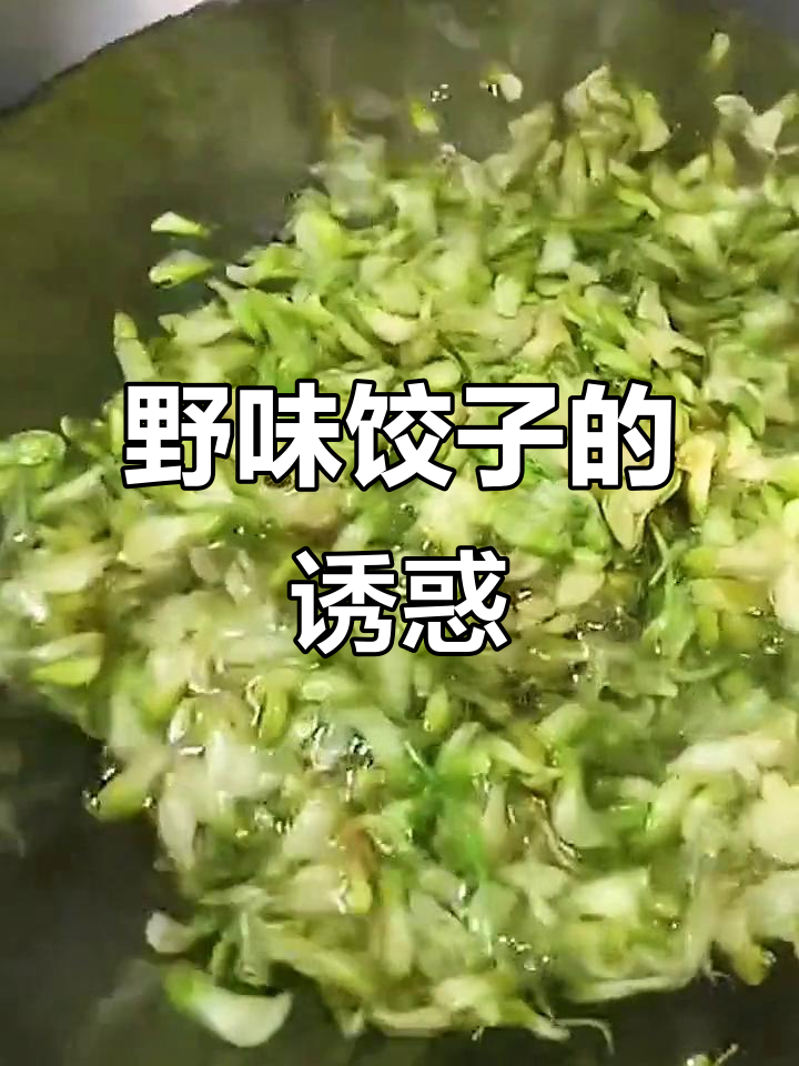 河南人必试的野菜饺子，味道独特，赶紧试试！