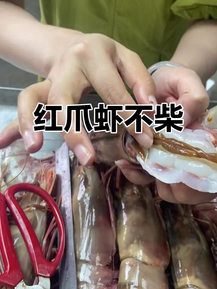 红爪虾并不柴,肉质鲜嫩让人惊艳