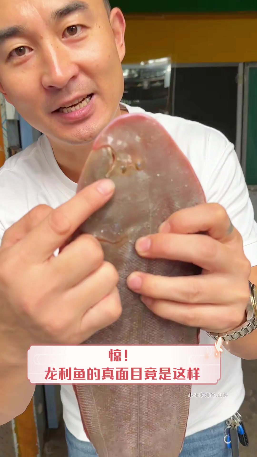 惊!龙利鱼的真面目竟是这样