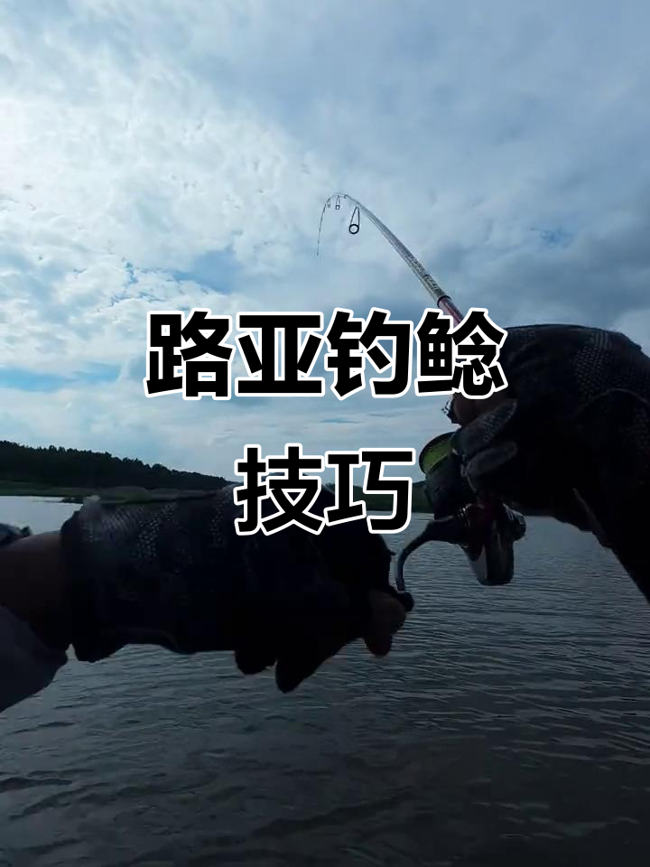 调漂找底，感受鲶鱼呼吸，路亚连杆技巧大揭秘