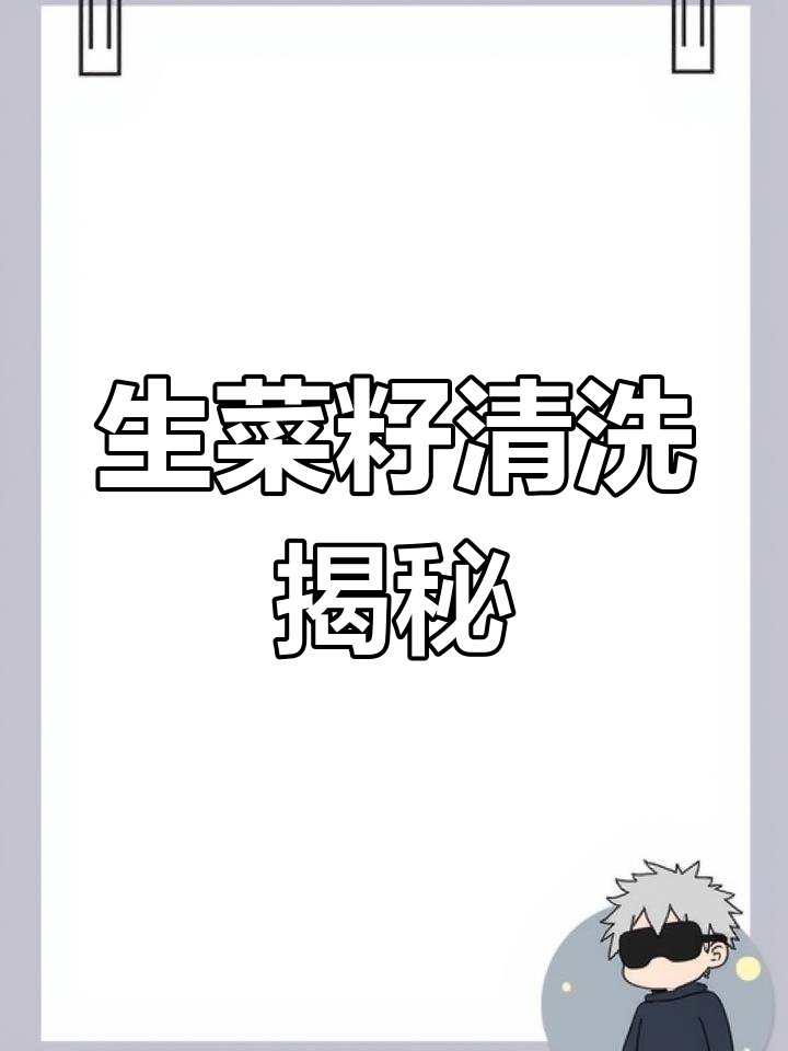 生菜籽清洗全过程,严格把控品质